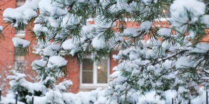 ������������ ����������, ����� ������ ��������� �� ����� ���