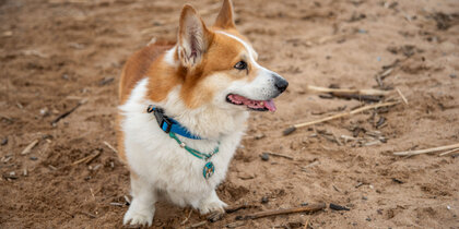 ������������ ����������� �� 54 ������ ������ �� ��������� ����� ������ ������ �����