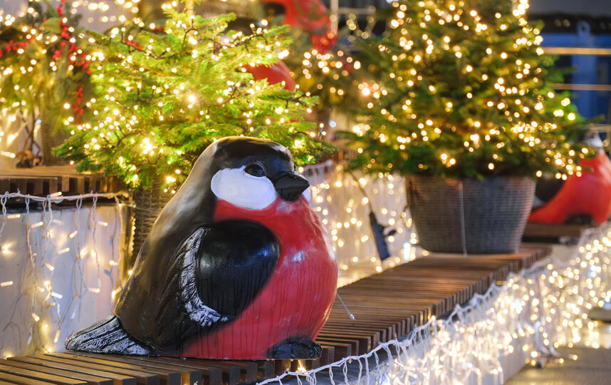 "����� � ���������" �������� ��������