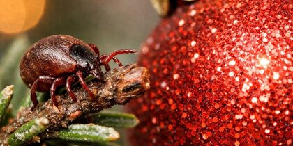 ���, � �� �����: Metro ������, ����� �� ��������� ��������� � ���������� �����