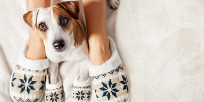 ������, ����� � �����: ��� ������ ������ �������� �������� ����� ���