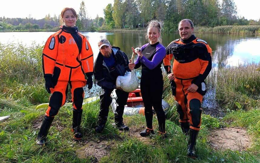 МЧС для хвостиков: спасатели животных из Петербурга рассказали Metro самые запоминающиеся случаи 2025 года
