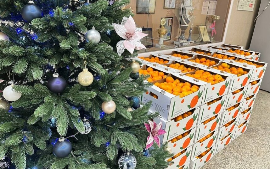 Десять тонн абхазских мандаринов доставили в Петербург для социальных учреждений