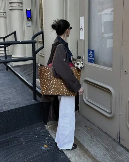 ������� ����� ��������� ��� � ������, ��� � � �����������.