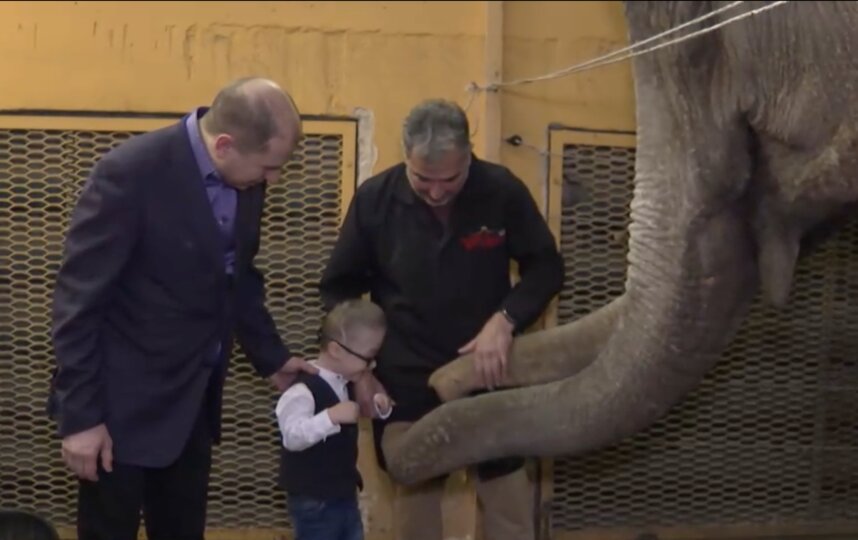 Депутат Единой России исполнил желание юного петербуржца в рамках акции Ёлка желаний