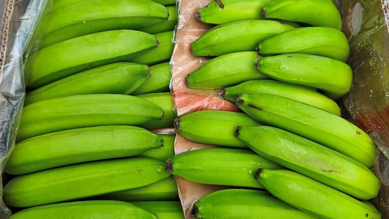 Через порт Петербурга доставили более миллиона тонн бананов