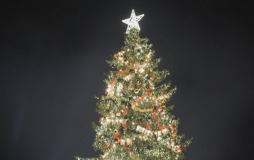 Главная ёлка Петербурга будет украшать Дворцовую площадь до 22 января