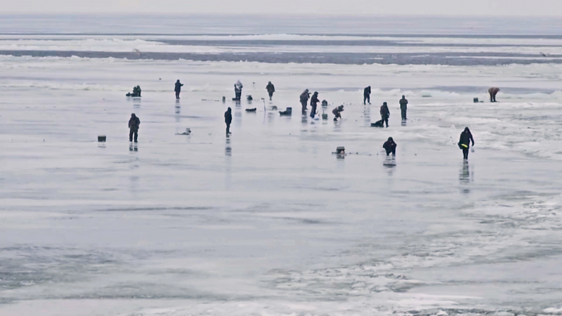 С 16 января можно будет выходить на лед Финского залива и водоемов Петербурга