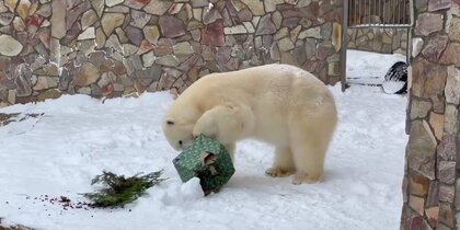 ���������� ������� ��� ���������: ����� ��������� � ������������� �������� �������� �������