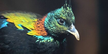 � ������������� �������� ���������� ���� ����� ����������� �������