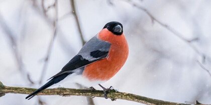 �� -3 �������� ��������� � ���������� 18 ������