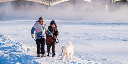 �������� ������� ����������� � 20-��������� ������� � ����������