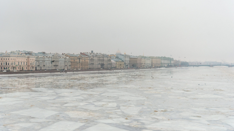 20 января в Петербурге будет туманным