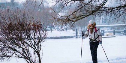 ���� ����������, ���� � ������ ������ ������ ����� ���������� �����