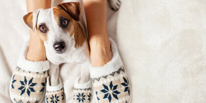 ��� �������� ���� �� ����� ��������: ����� ����� ������ � ����������� �����������