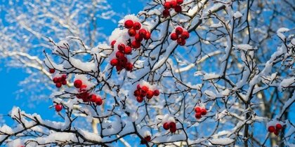 ������� �������� ���������� ����������� �� �������� ������� � ��������