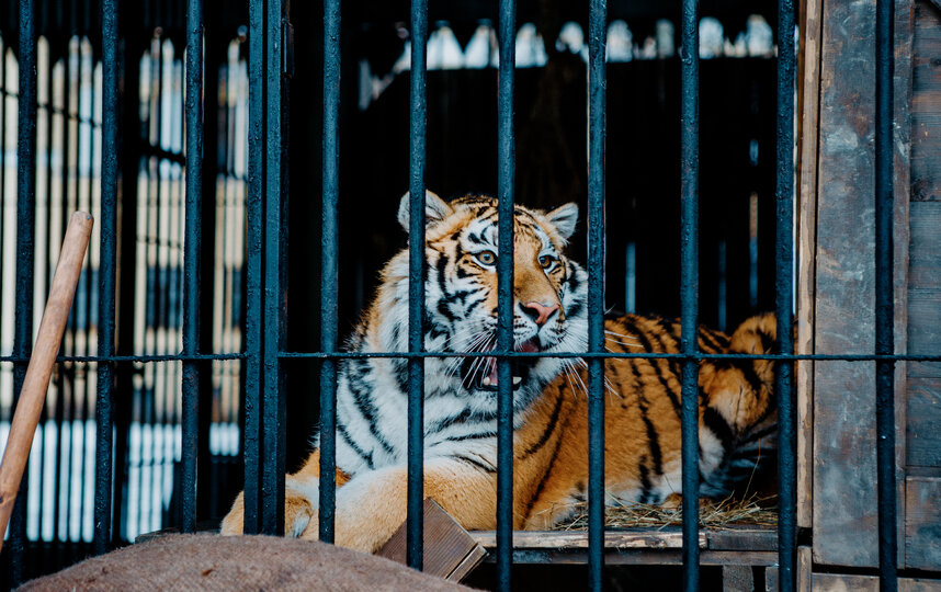 �������� �� ��������� ��������