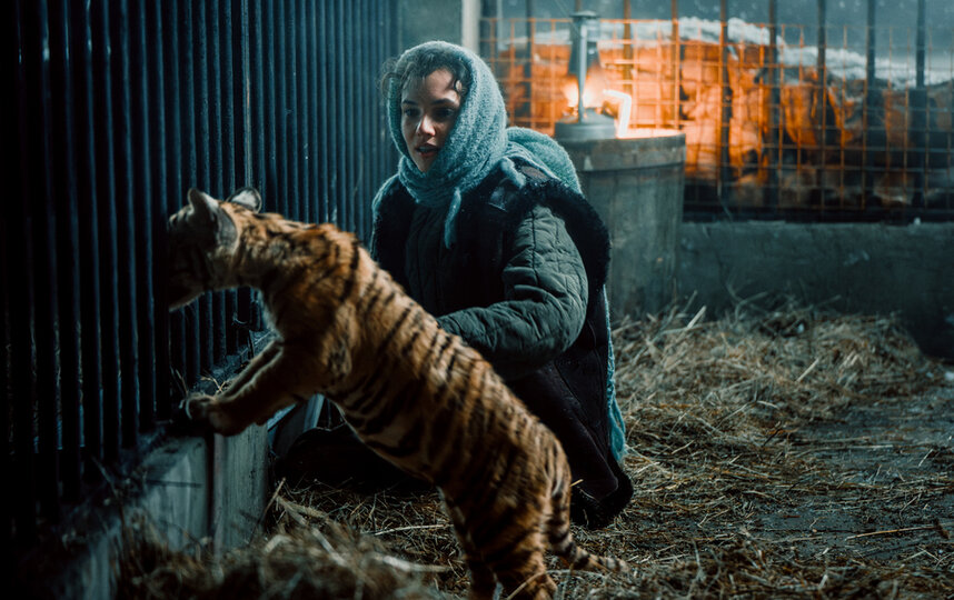 Питомцы Дома тигра стали кинозвёздами
