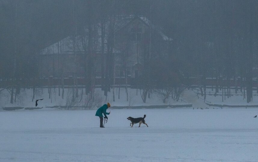 В Петербурге объявлен жёлтый уровень опасности