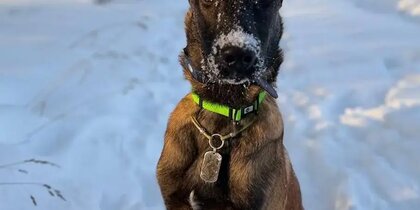 "���� ������ �����, � �� � ���!": �� ���� �������� ��������� ����� ����������� � �������