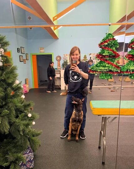 ���� ������� ������ ����� �������.