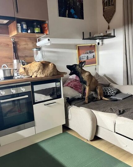 �� ������� �� ����, ��� ��� �� ����� ����� ���������� ����� ����������� �������.