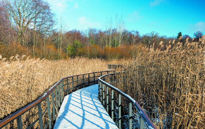 �� "�������� �����" ���� ��������� ��� &ndash; ��� ������� ����� 300 ���