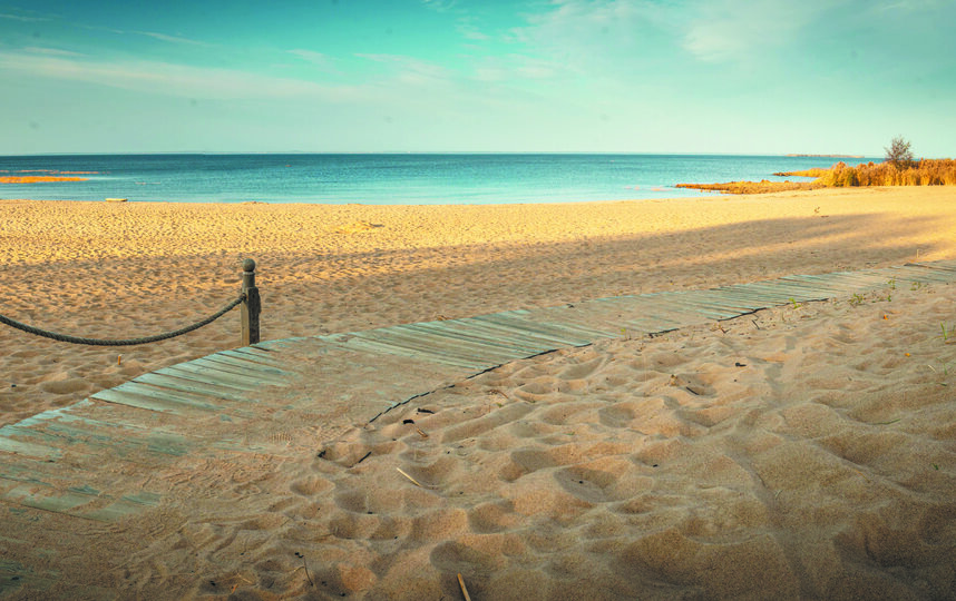 ����� 20 ����� ������� ����� ������� �� ��������, ����������� �� ���������� ��������� "�������� ������"