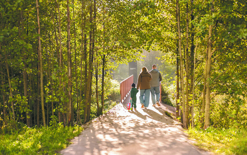 ���������� �������� � ��������� "�������������" ����� ������� ������ ����� &ndash; ����������� ����