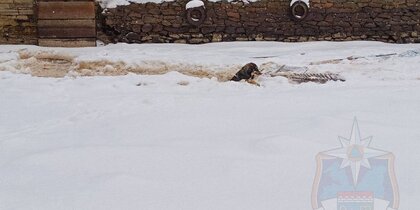 � ���������� �������� ������� � ������� �������. �� ������ ������ ���������