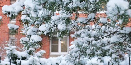 ������� �������� ���������� ����������� � ����������� ������� �� ��������