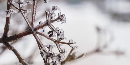 ������� �������� ���������� ����������� � �����������