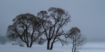 "Ƹ����" ������� �������� ��������� ����� ��������