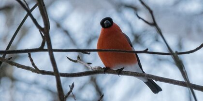 ��������� ���� ������� ������� � ���������� 7 �������