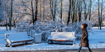 ���������� �������� � ���������: ��������� ������� ���������� ������ ��� ��������