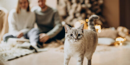 ������ ����������, ��� ���������� ����� ����������, ��� ��������