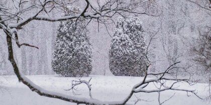 � ���������� �������� "�����" ������� ��������� ��-�� ���������� �������