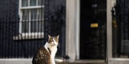 ������� ������������ ����� �������� ����� ��������� 15-����� �� ����� �����