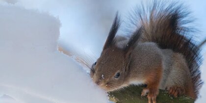 ��������� ���� � -9 ��������: � ���������� ������ ����� �������