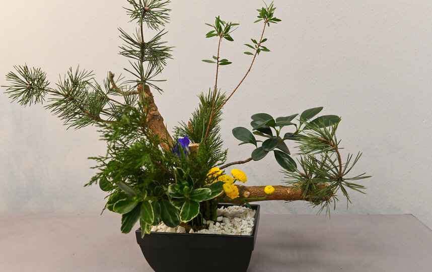 ����� "�����"