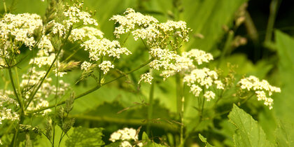 � 1 ����� ���������� �������� ������ ���������� �� �������� �� ����� ����� ������