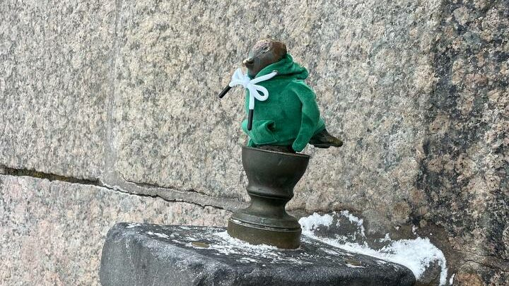 Чижика-Пыжика нарядили в теплую кофточку