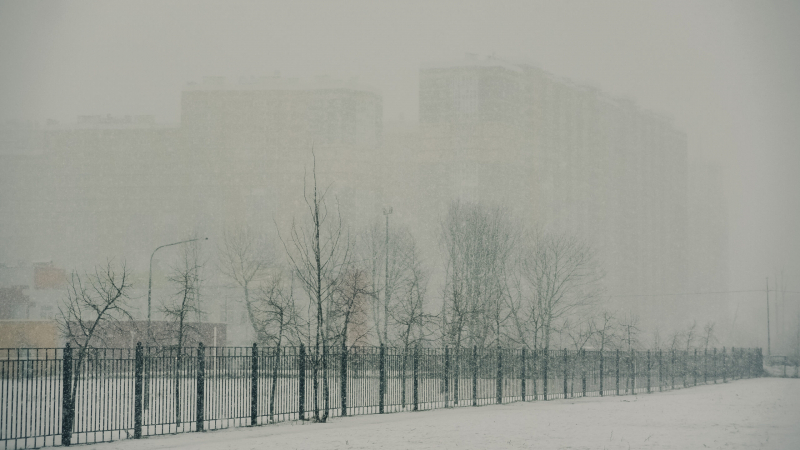 В Петербурге объявили жёлтый уровень опасности из-за порывистого ветра и снегопадов
