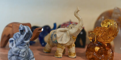 ����� �����: ������������� �������� ���� 50 ������