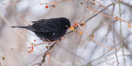 �� +4 �������� � �����. ����� ������ ��� ��������� 1 �����