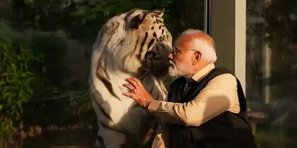 ���� ����� ���������� ������� ���� ������