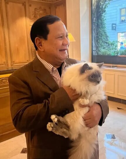 ��������� ��������� ����� ����� �������