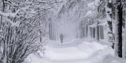 ��� �������������: 4 ����� � ���������� ��������� ������ ����, ������� � ������� �����