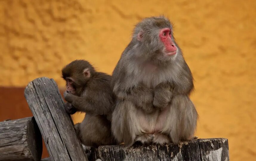 � ������� ���� ��������� ������� ��������� � ���������� � ������ ����� ������� �����.