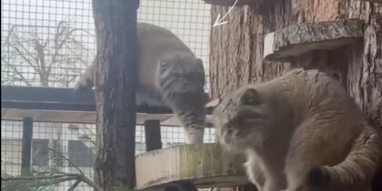 � ������������� �������� ������ ������ �������� ������� �� � ����